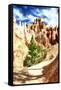 Bryce Canyon-Philippe Hugonnard-Framed Stretched Canvas