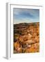 Bryce National Park, Utah-Ian Shive-Framed Photographic Print