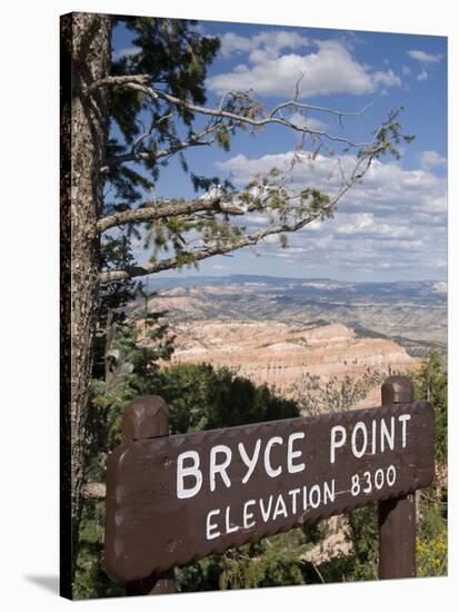 Bryce Point, Bryce Canyon National Park, Utah, United States of America, North America-Richard Maschmeyer-Stretched Canvas