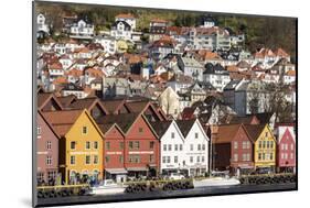 Bryggen old town waterfront, Bergen, Euruope-Tony Waltham-Mounted Photographic Print