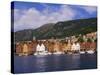 Bryggen Shopping District, Bergen, Norway-Michael DeFreitas-Stretched Canvas