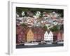 Bryggen, UNESCO World Heritage Site, Bergen, Hordaland, Norway, Scandinavia, Europe-Marco Cristofori-Framed Photographic Print