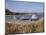 Bryher, Isle of Scilly, United Kingdom-Robert Harding-Mounted Photographic Print