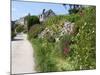 Bryher, Isles of Scilly, United Kingdom, Europe-null-Mounted Photographic Print