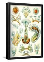 Bryozoa Nature Print Poster by Ernst Haeckel-null-Framed Poster