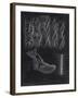 Bryozoa-Philip Henry Gosse-Framed Giclee Print