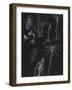 Bryozoa-Philip Henry Gosse-Framed Giclee Print