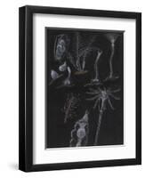 Bryozoa-Philip Henry Gosse-Framed Premium Giclee Print