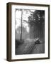 BSA taking part in the JCC General Efficiency Trial, Oxshott Woods, Surrey, 1923-Bill Brunell-Framed Photographic Print