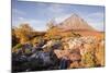 Buachaille Etive Mor Mountain and River Etive at Glencoe and Glen Etive, Highlands, Scotland, UK-Julian Elliott-Mounted Photographic Print