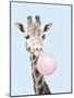 Bubble Giraffe - Boost-Matt Roseveare-Mounted Art Print