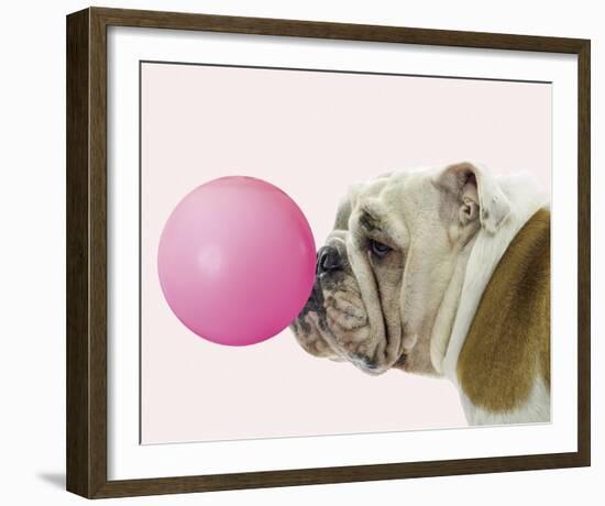 Bubble Hound-Assaf Frank-Framed Giclee Print