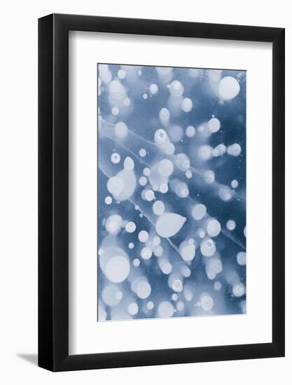 Bubble pattern in midwinter ice, Abraham Lake, Alberta, Canada-Panoramic Images-Framed Photographic Print