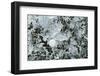 Bubble pattern in midwinter ice, Abraham Lake, Alberta, Canada-Panoramic Images-Framed Photographic Print