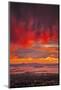 Bubble Sunset Burn, Epic Red Skies Clouds, San Francisco Bay Area.-Vincent James-Mounted Photographic Print