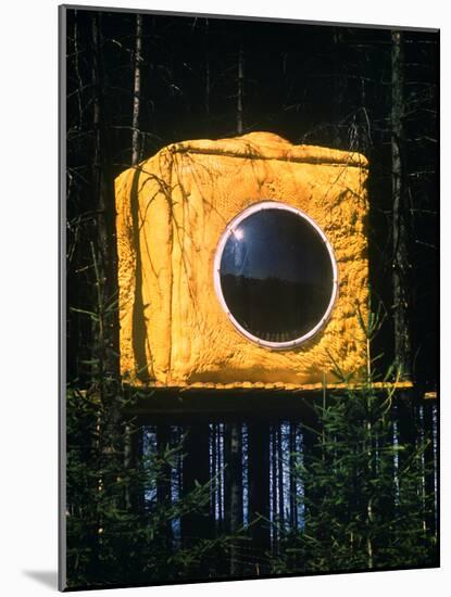 Bubble Window in Tree House-null-Mounted Photographic Print
