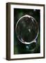 Bubble-Shot by Clint-Framed Giclee Print