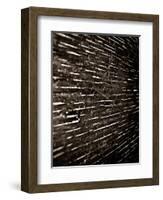 Bubblebuzz-Fabio Panichi-Framed Photographic Print