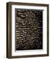 Bubblebuzz-Fabio Panichi-Framed Photographic Print