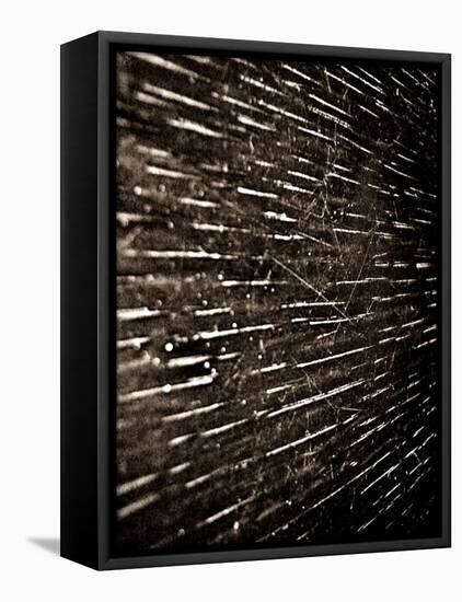 Bubblebuzz-Fabio Panichi-Framed Stretched Canvas