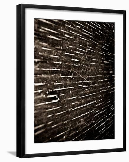 Bubblebuzz-Fabio Panichi-Framed Photographic Print