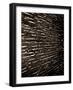 Bubblebuzz-Fabio Panichi-Framed Photographic Print