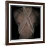 Bubblelist-Fabio Panichi-Framed Photographic Print