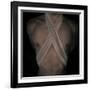 Bubblelist-Fabio Panichi-Framed Photographic Print