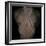 Bubblelist-Fabio Panichi-Framed Photographic Print