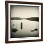 Bubblepad-David Baker-Framed Photographic Print