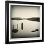 Bubblepad-David Baker-Framed Photographic Print