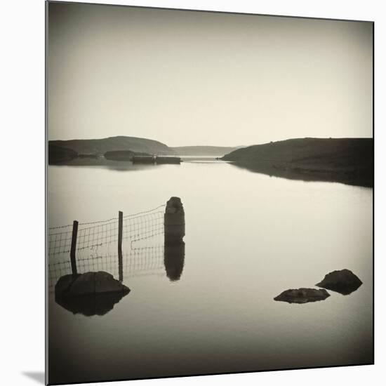 Bubblepad-David Baker-Mounted Photographic Print