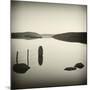 Bubblepad-David Baker-Mounted Photographic Print