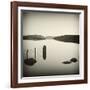 Bubblepad-David Baker-Framed Photographic Print