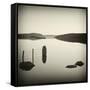 Bubblepad-David Baker-Framed Stretched Canvas