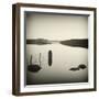 Bubblepad-David Baker-Framed Photographic Print