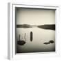 Bubblepad-David Baker-Framed Photographic Print