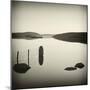 Bubblepad-David Baker-Mounted Photographic Print