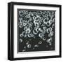 Bubbles II-Chris Paschke-Framed Art Print