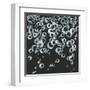 Bubbles II-Chris Paschke-Framed Art Print