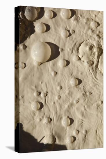 Bubbles in Boiling Volcanic Mud Pot-null-Stretched Canvas