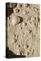 Bubbles in Boiling Volcanic Mud Pot-null-Stretched Canvas