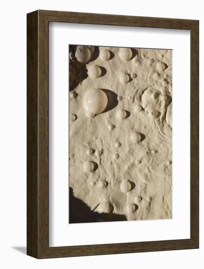 Bubbles in Boiling Volcanic Mud Pot-null-Framed Photographic Print