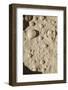 Bubbles in Boiling Volcanic Mud Pot-null-Framed Photographic Print
