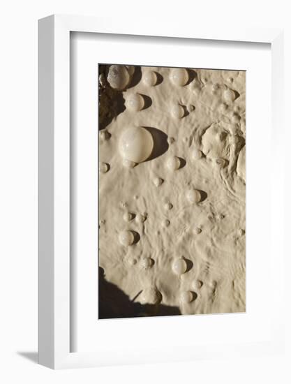 Bubbles in Boiling Volcanic Mud Pot-null-Framed Photographic Print