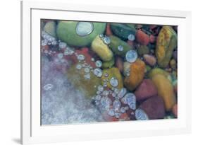 Bubbles in ice, Lake McDonald, Glacier National Park, Montana, USA-Chuck Haney-Framed Premium Photographic Print