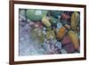 Bubbles in ice, Lake McDonald, Glacier National Park, Montana, USA-Chuck Haney-Framed Premium Photographic Print