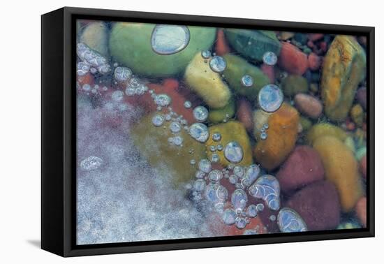 Bubbles in ice, Lake McDonald, Glacier National Park, Montana, USA-Chuck Haney-Framed Stretched Canvas