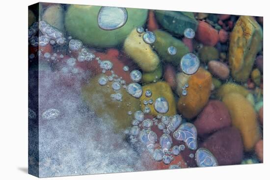 Bubbles in ice, Lake McDonald, Glacier National Park, Montana, USA-Chuck Haney-Stretched Canvas