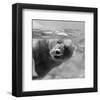 Bubbles-null-Framed Art Print